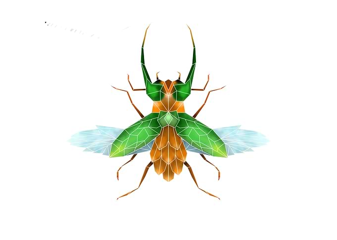Geometric insect