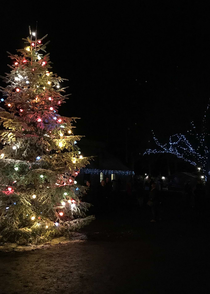 Christmas Tree