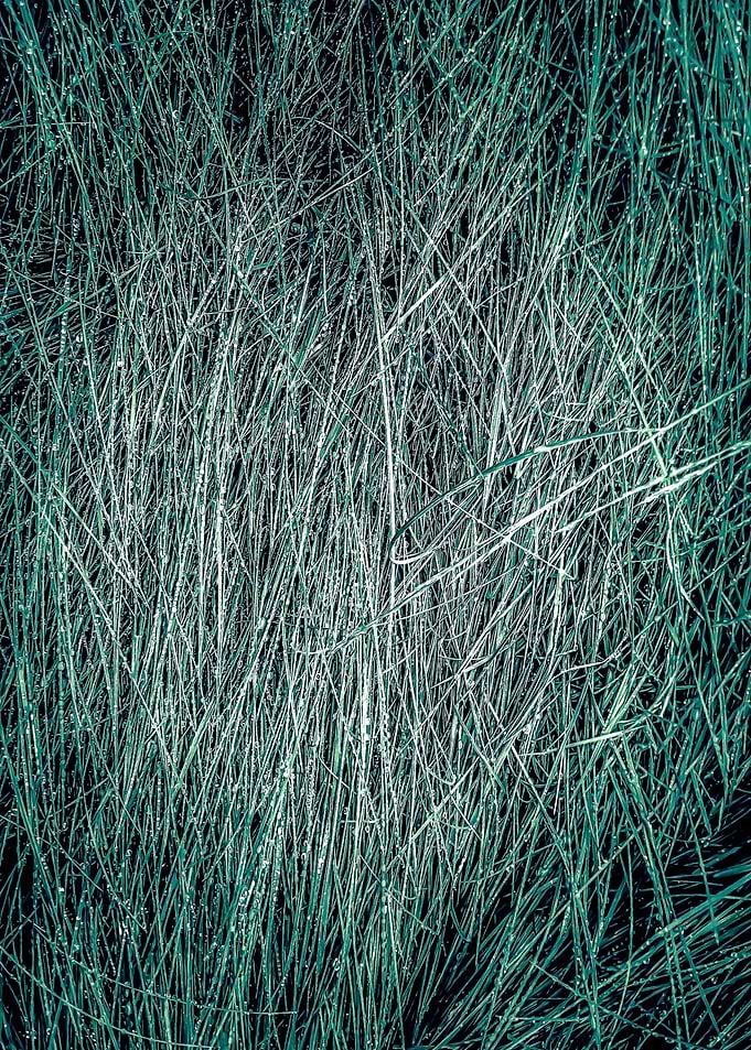 green grass