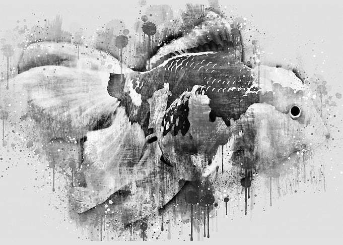 rhythms of breath
