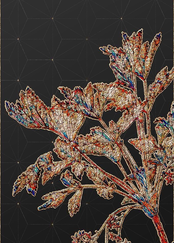 Rainbow Mosaic Botanical