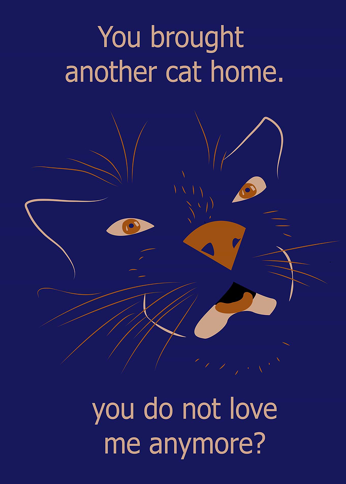 cat jealousy