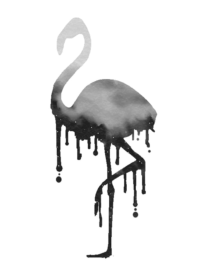 Flamingo Dark Nature