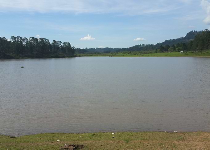 laguna