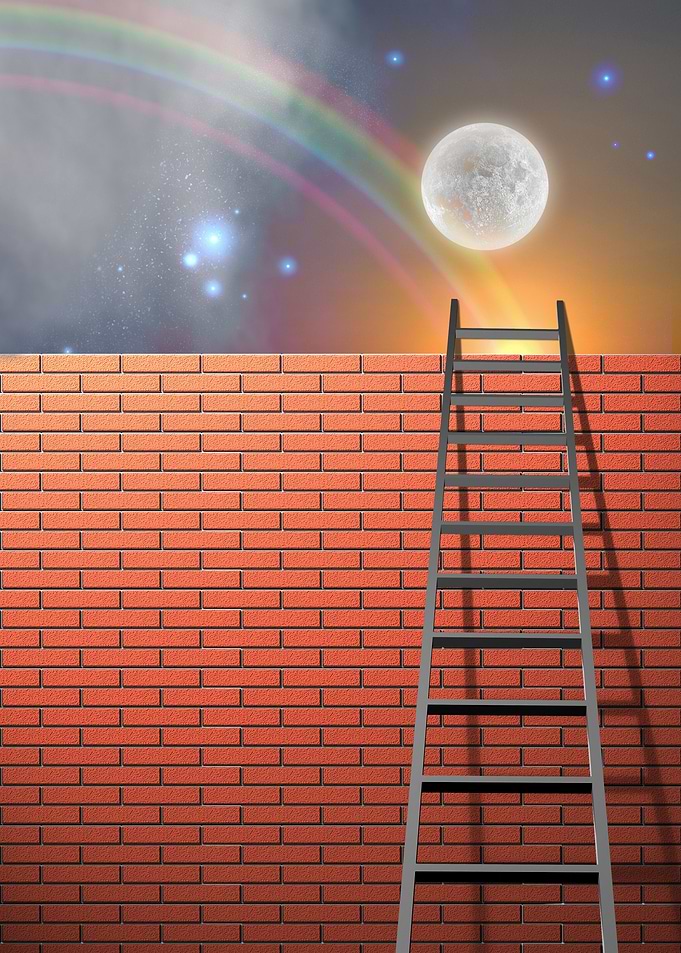 Ladder