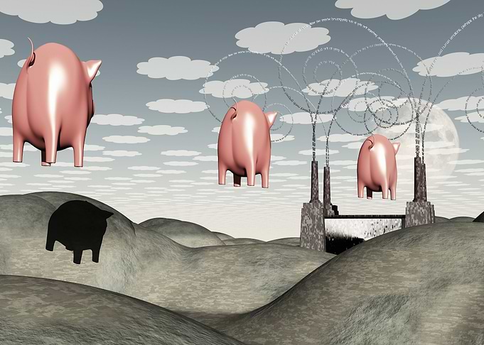 Factory and Pigs