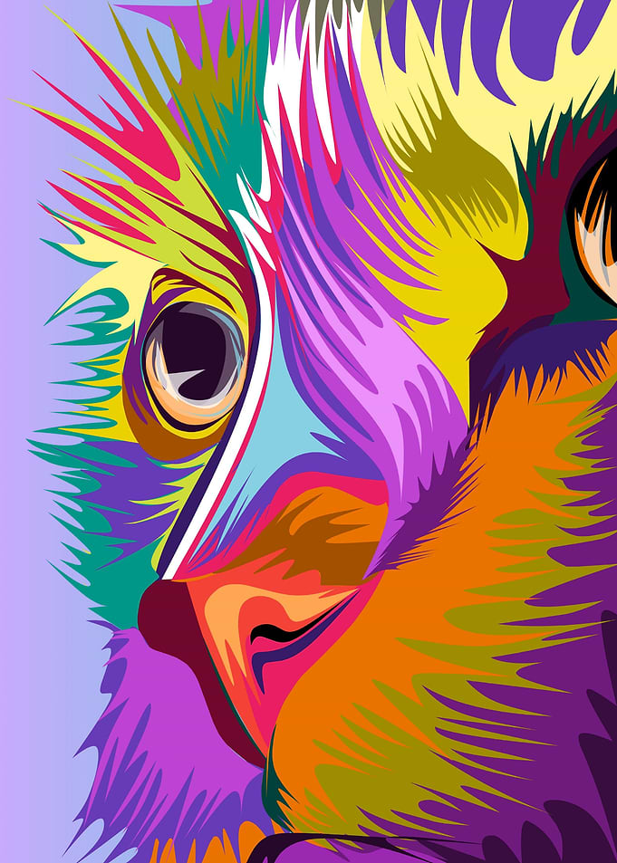 vector popart