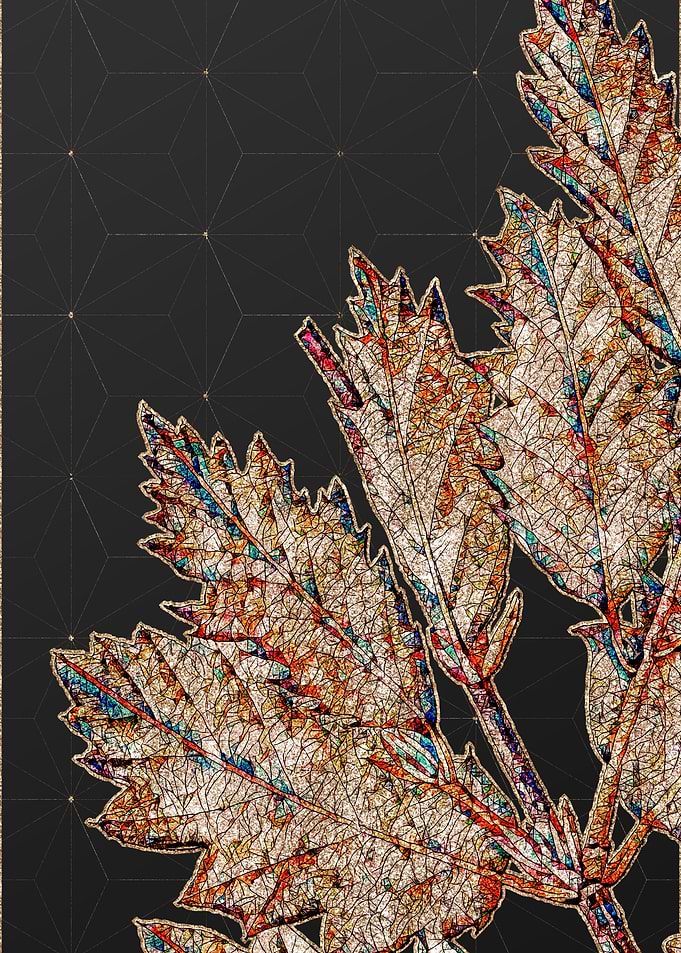 Rainbow Mosaic Botanical