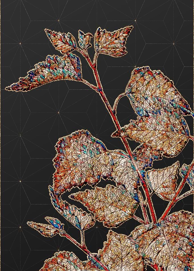 Rainbow Mosaic Botanical