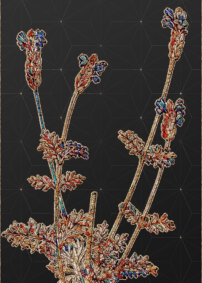 Rainbow Mosaic Botanical