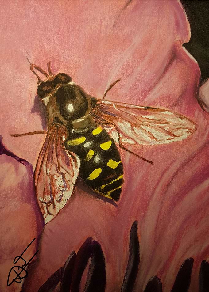 Abeille