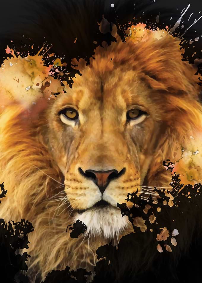 a Splash of Lion