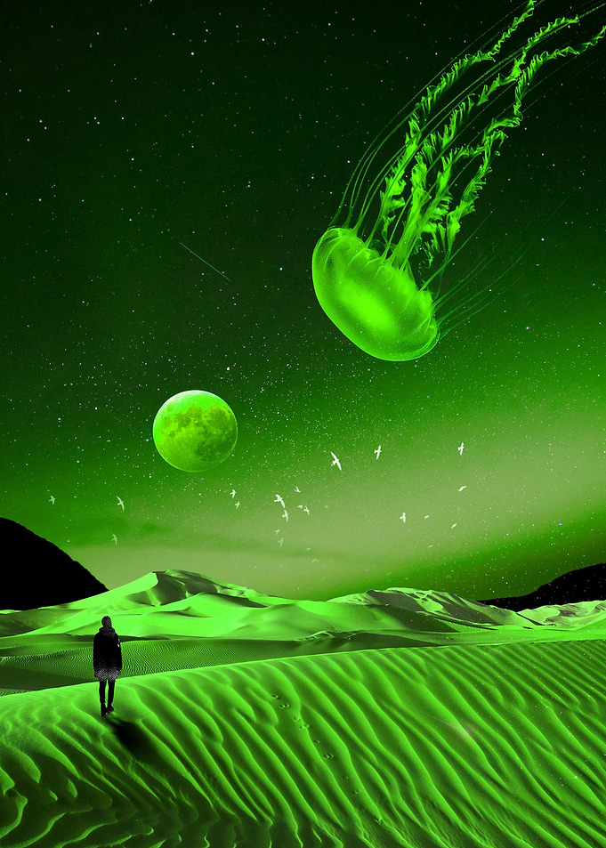 Just Another Dream