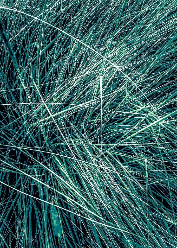 green grass