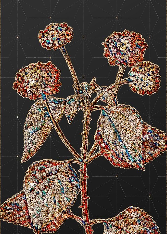 Rainbow Mosaic Botanical