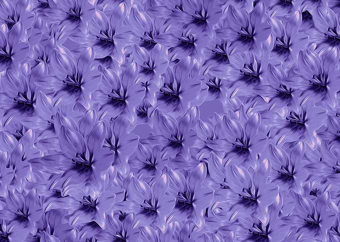 Lilac Creation