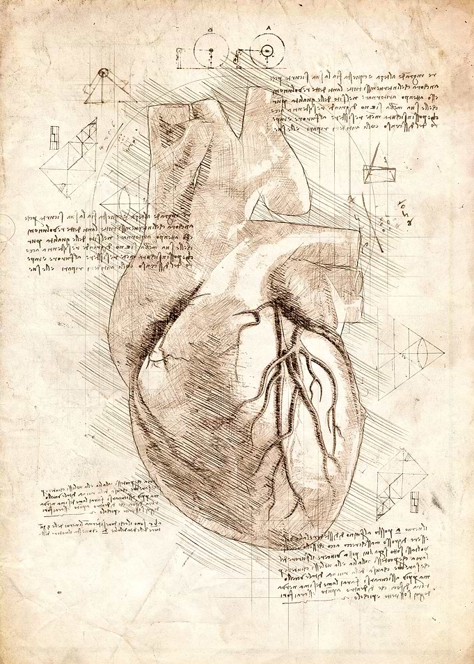 Human Heart
