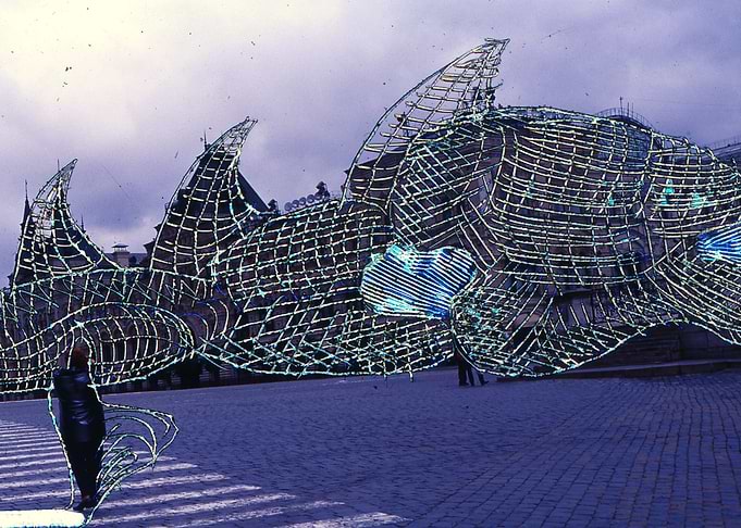 Big fish in the city