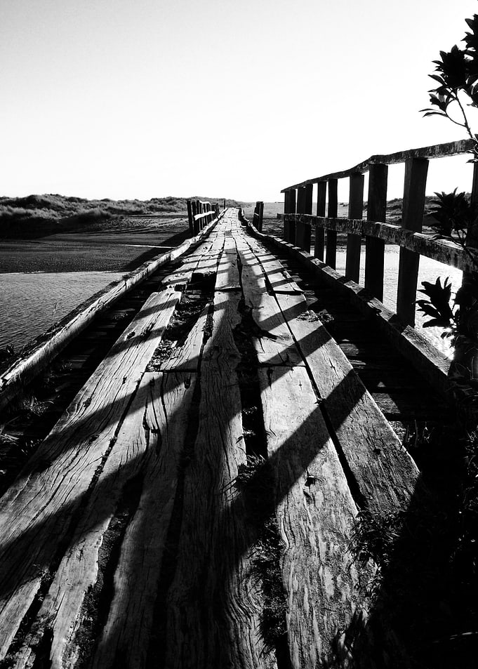 bridge to the future