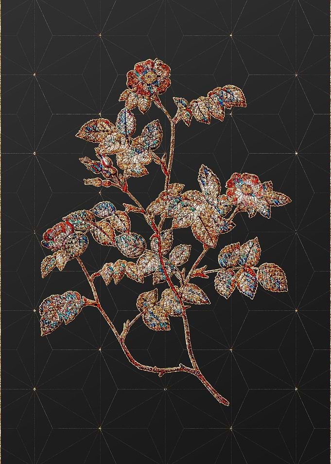Rainbow Mosaic Botanical