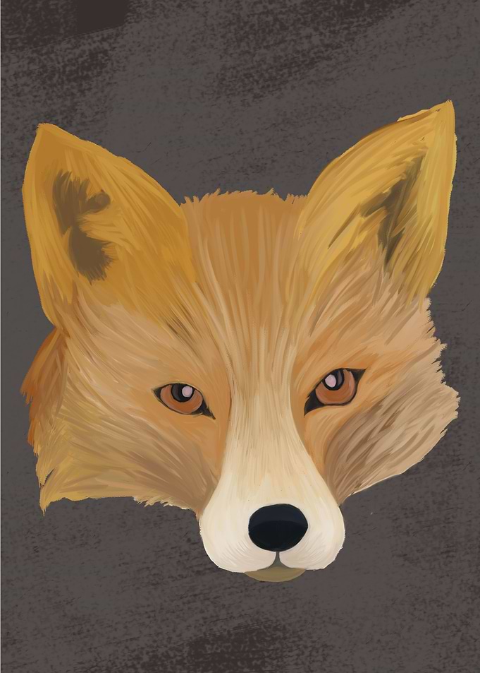 The Wise Fox