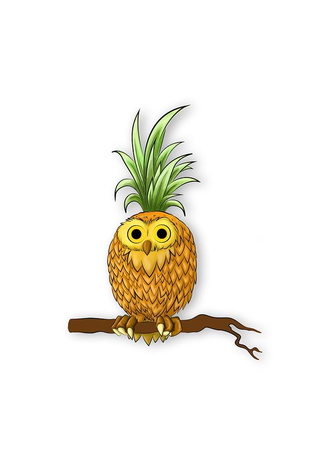 pineOWLple