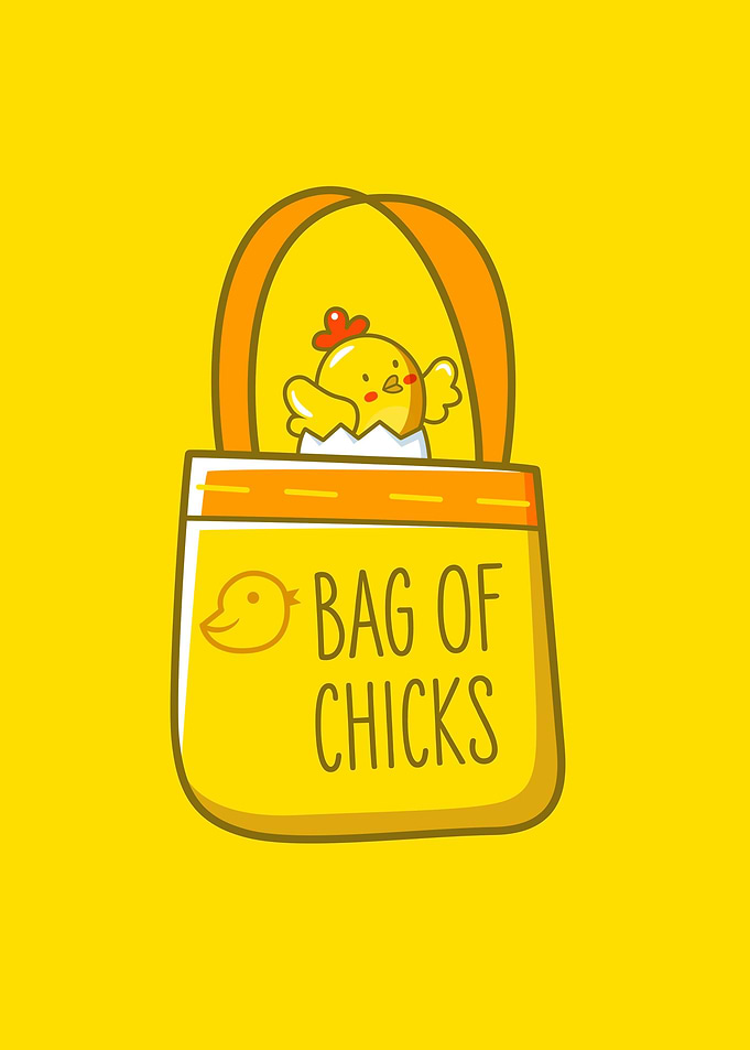 Bag of chicks