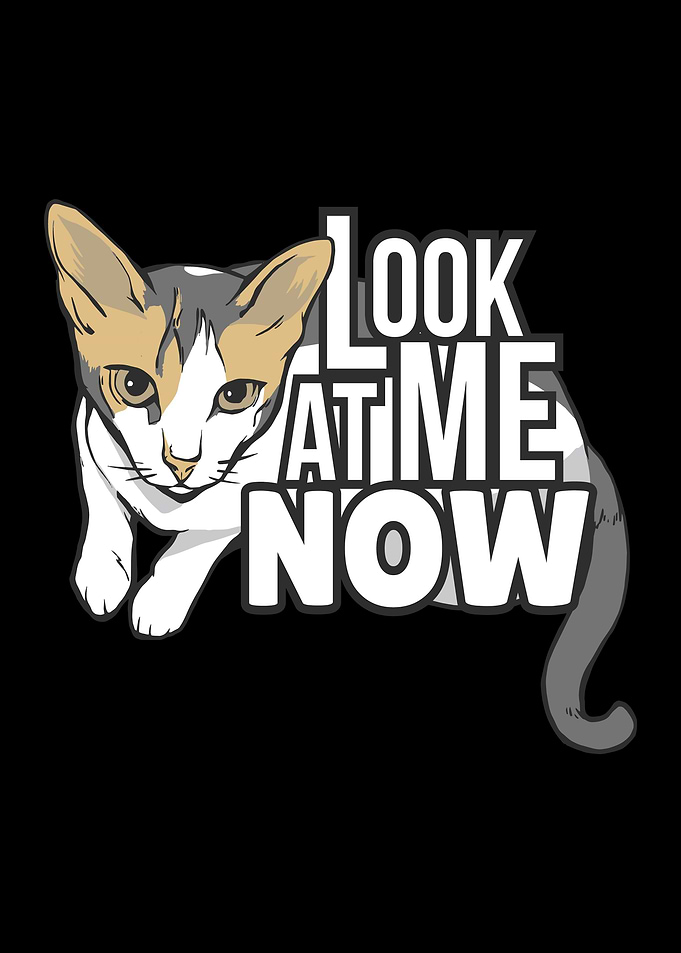 Look at me Now