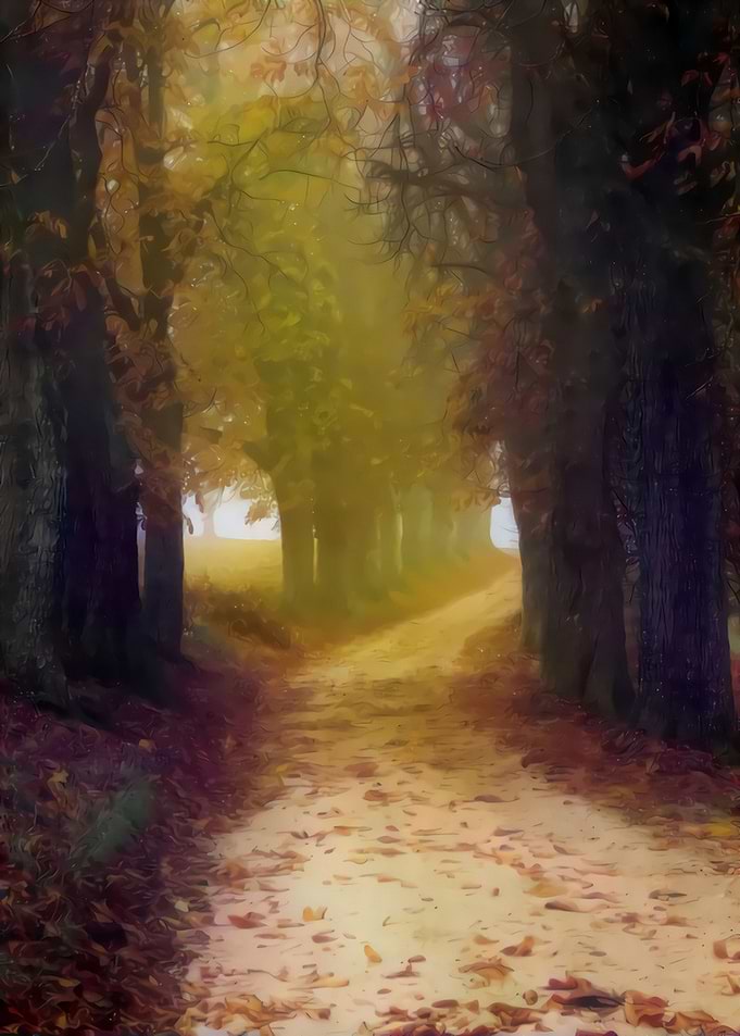 Into the Fairy Woods