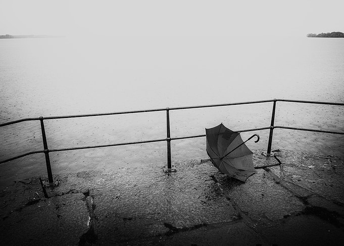 Umbrella