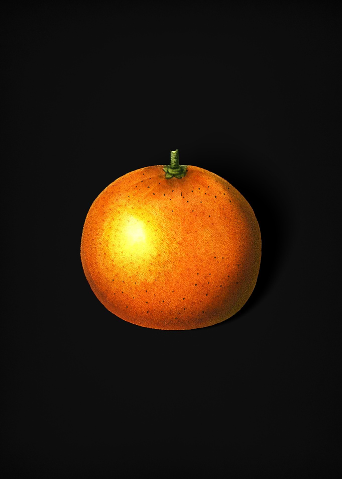 Vintage Orange