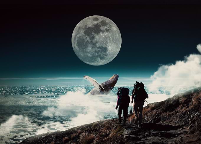 The Odyssey