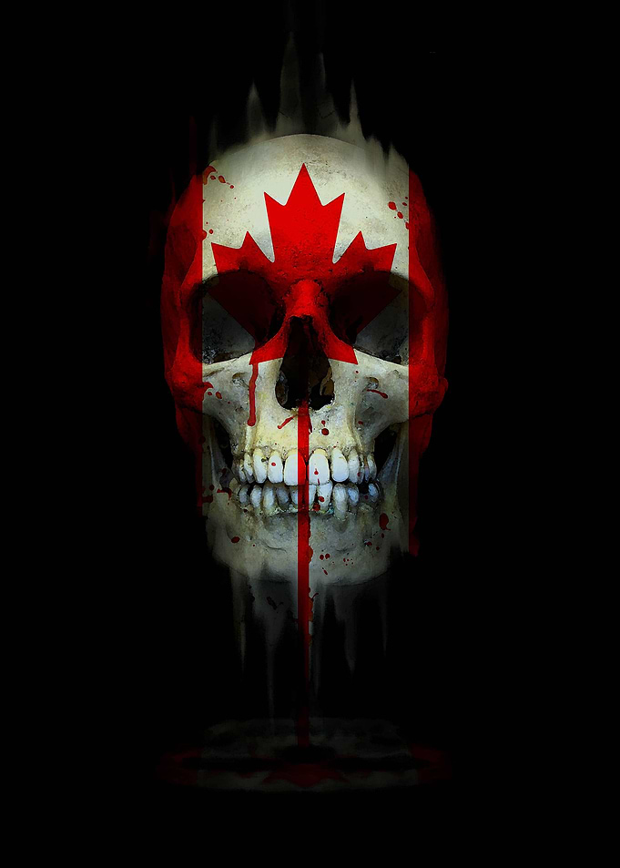 Canadian Skull flag