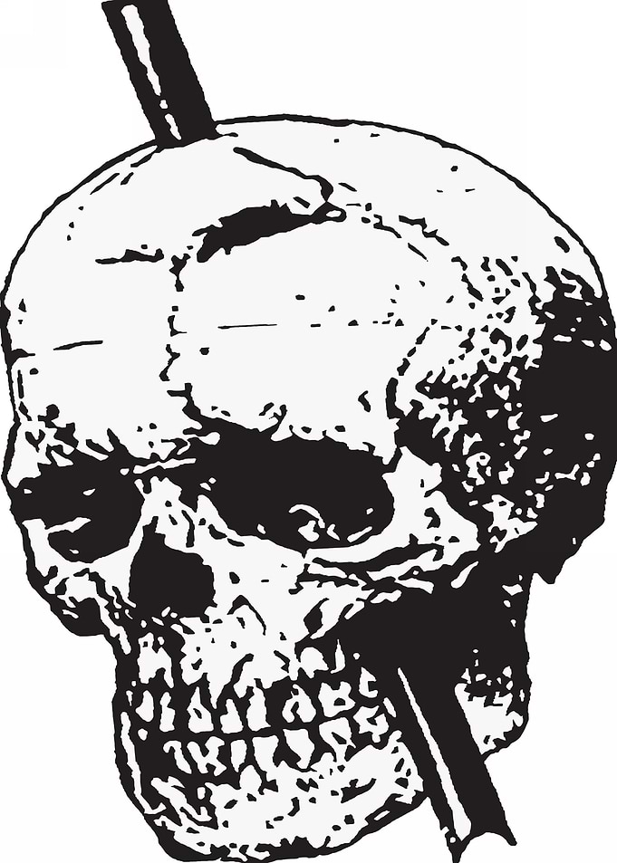 Black and White Skull of P