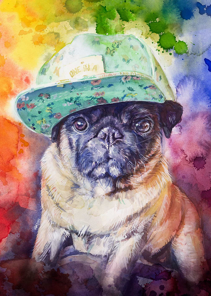 Boo the Pug