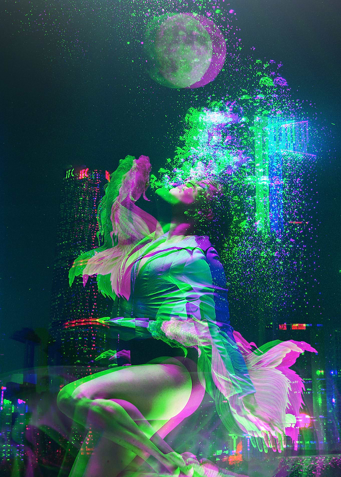 The mermaid
