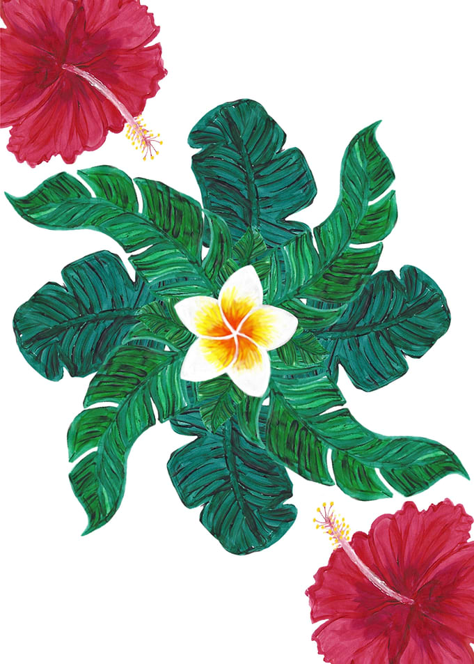 Troical Flowers