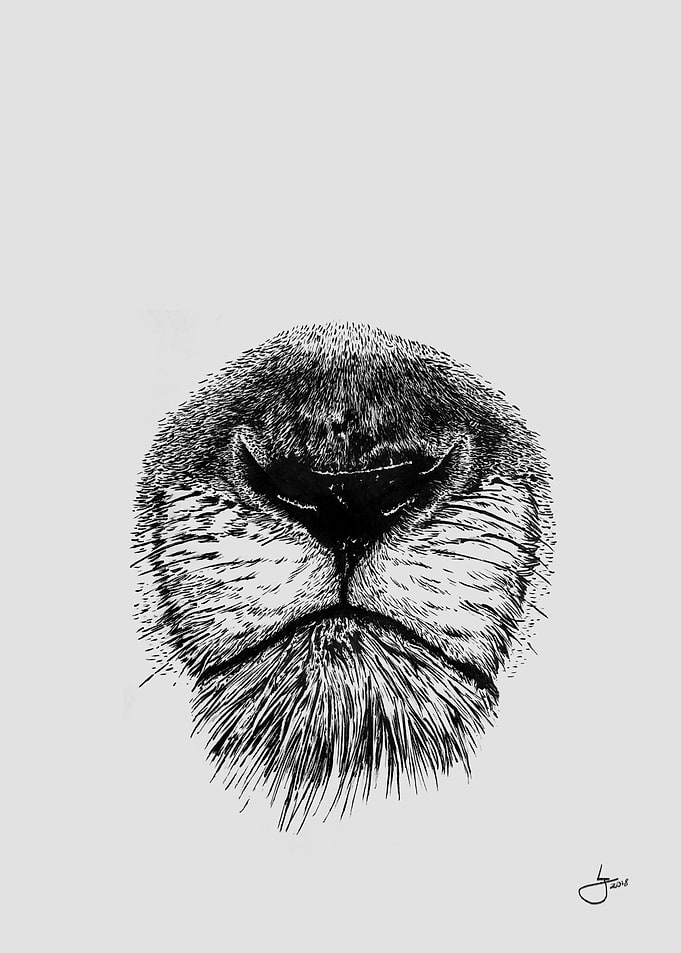 Lion Snout
