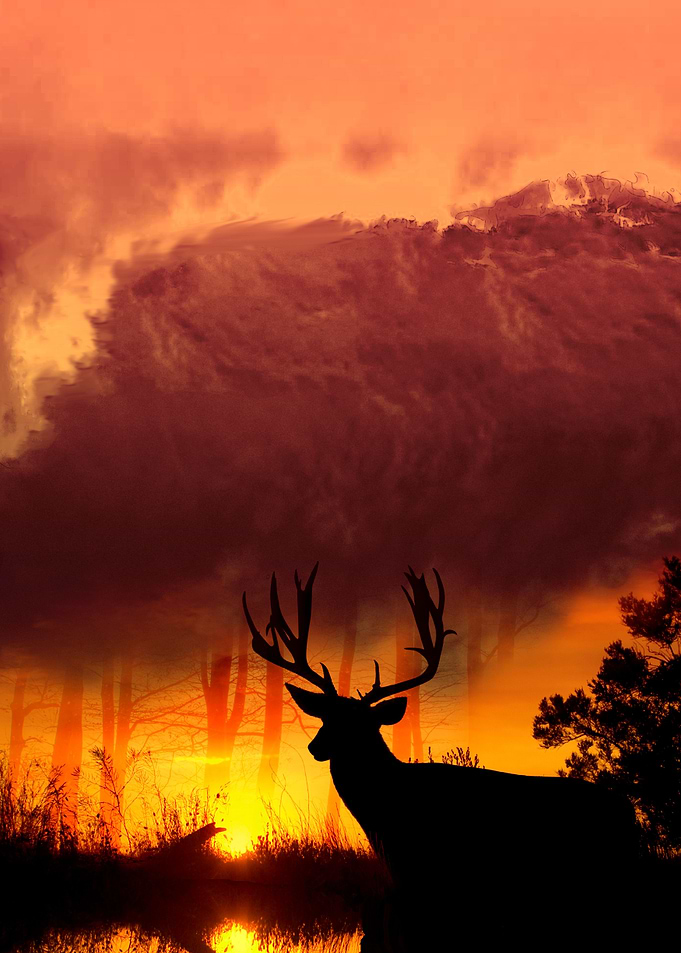 Deer fear