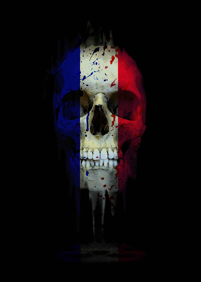 France Skull Flag