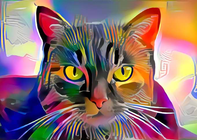 moris cat mosaic