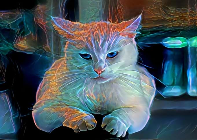 blue flame cat