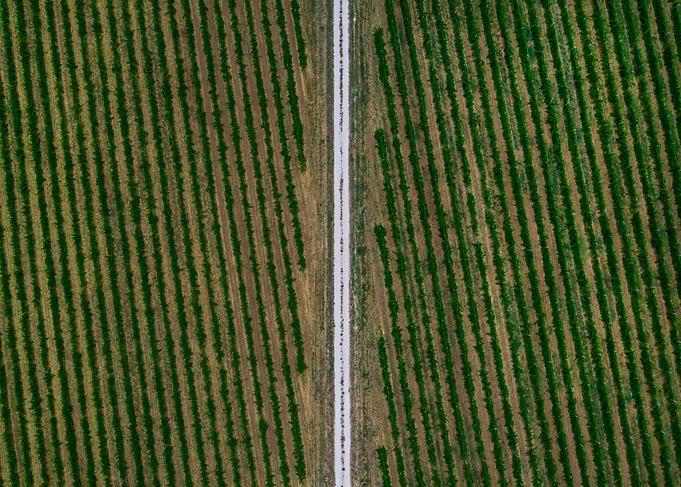 AERIALS 3
