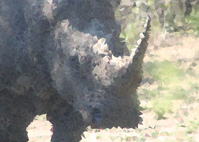 White Rhino Poly