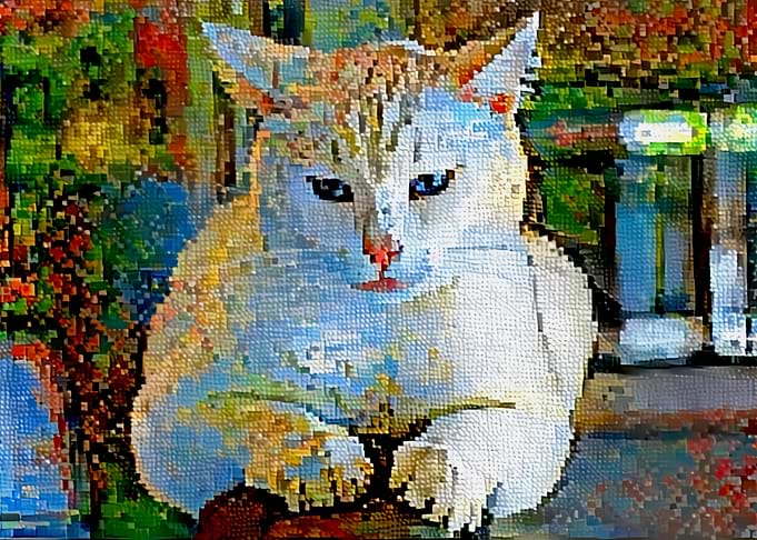 syris Cat