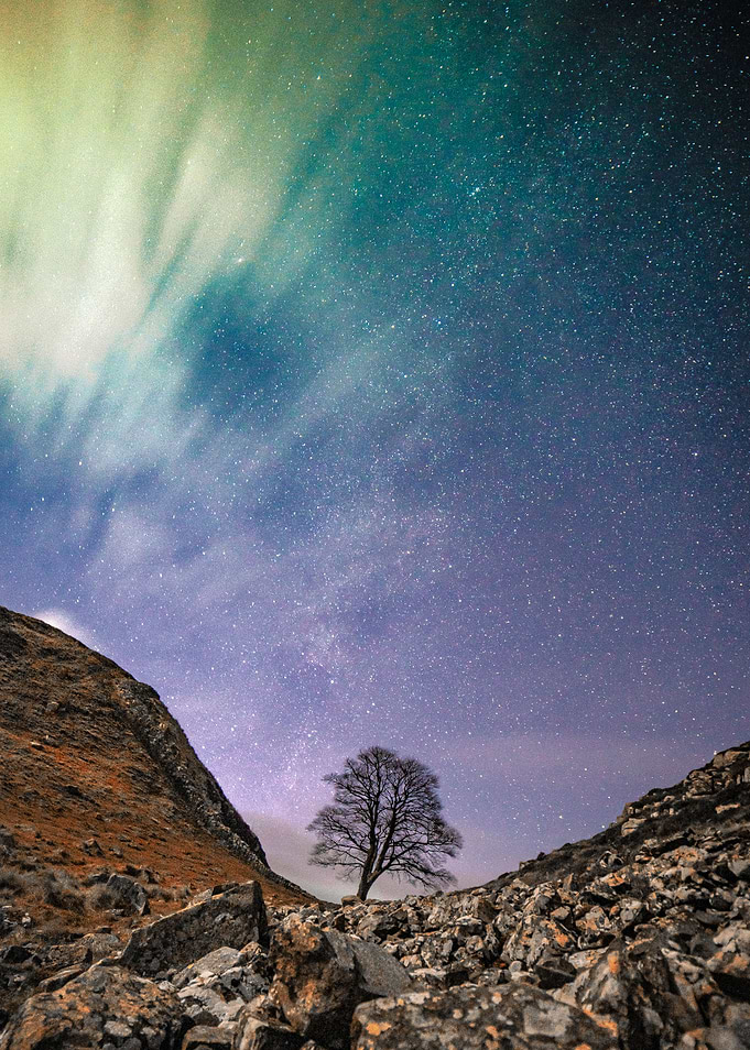 Sycamore Galaxy