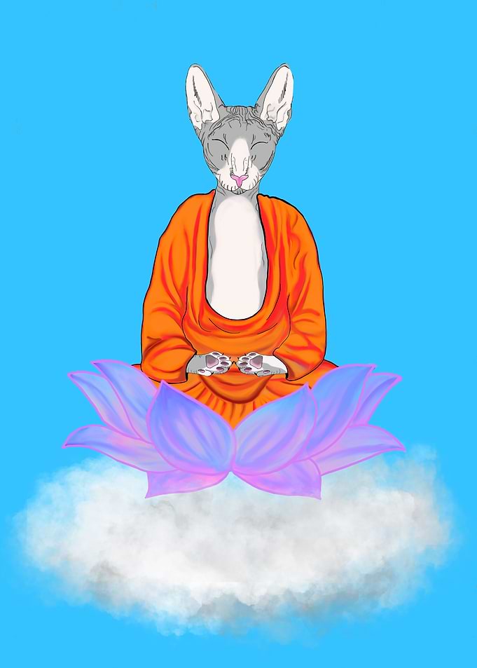 Buddha Cat