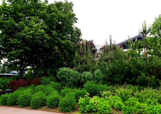 Park garden