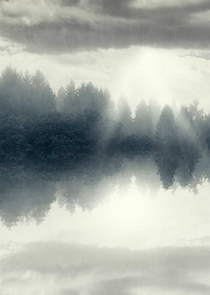 the floating forest