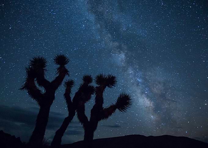 Desert Night